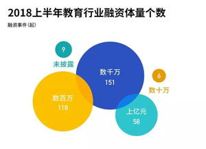 教育行業(yè)投融資熱潮中的隱形推手 誰在領(lǐng)跑教育軟件開發(fā)賽道？